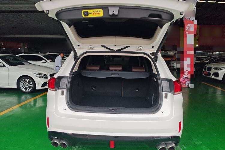 Used Wey VV6 2019 2.0T Two-Wheel-Drive Ultra-Luxury Version China VI Standard