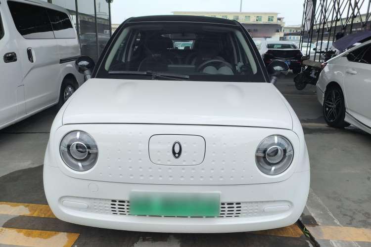 Used ORA Black Cat 2022 301km "Cute Pet" Version – Lithium Iron Phosphate
