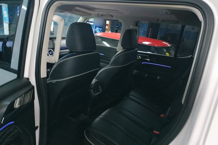 Used Tank 300 2024 2.0T Crosser
