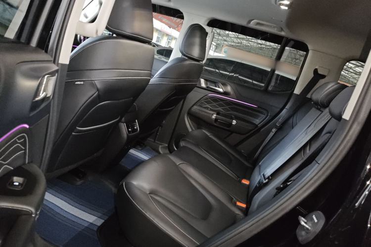 Used Tank 300 2025 2.0T Conqueror
