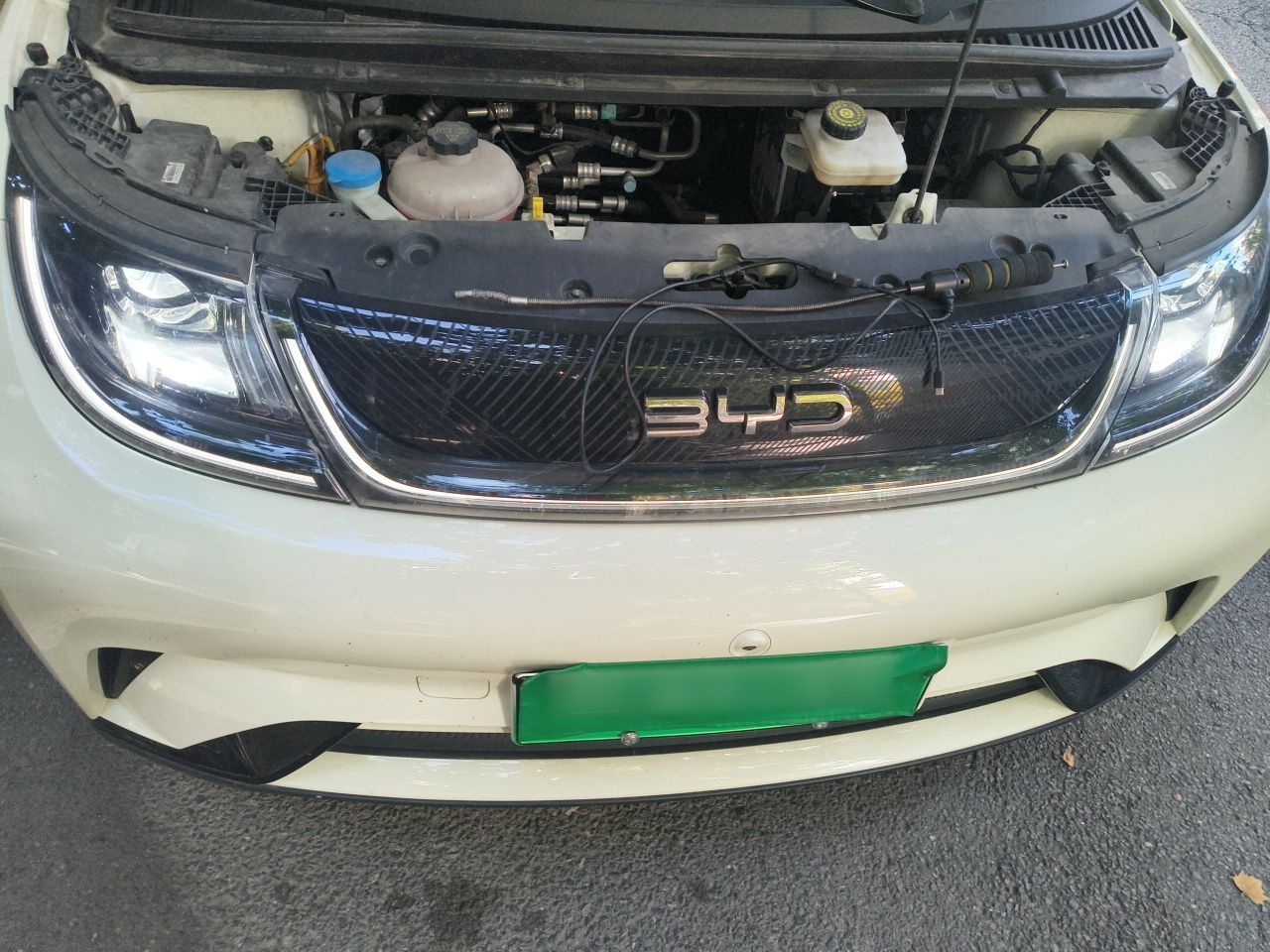 BYD Dolphin 2025 420km Free Edition — снимка 17