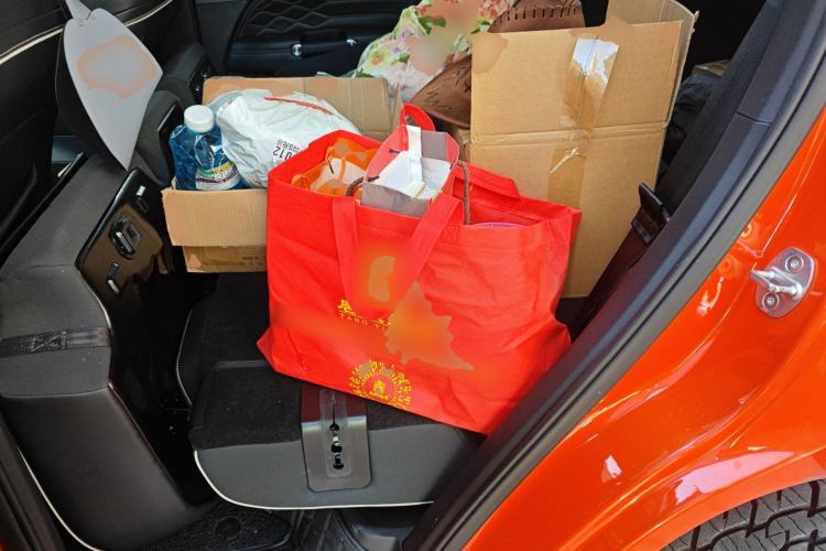 Used Tank 300 2021 Off-Road Edition 2.0T Conqueror
