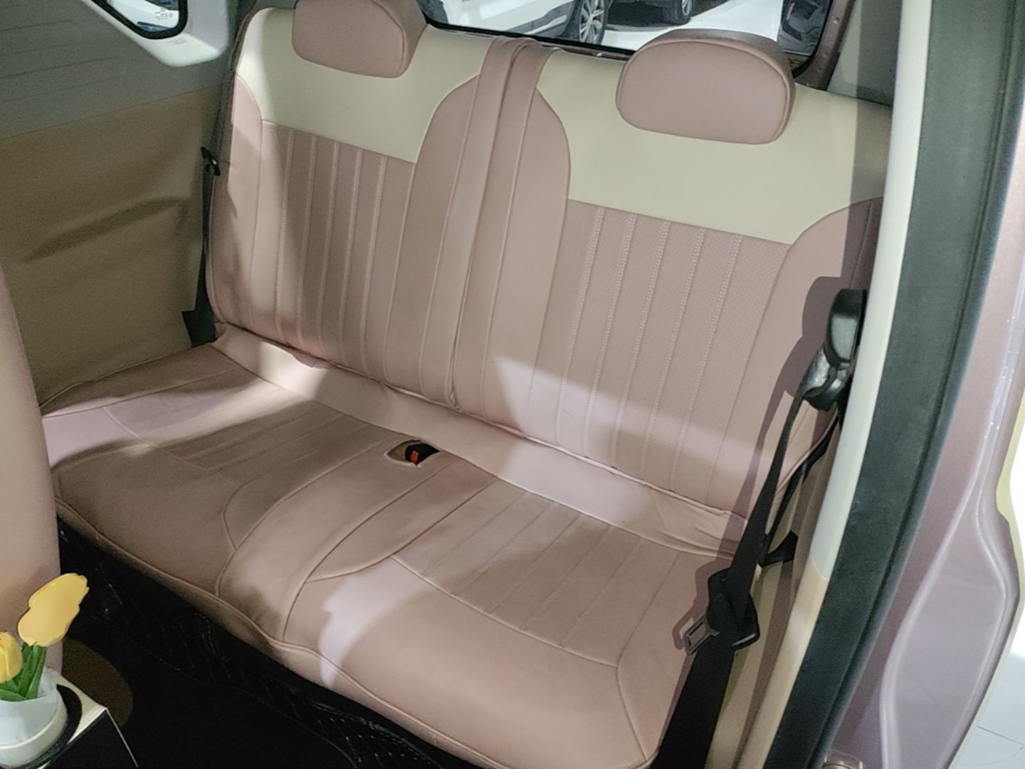 Geely Galaxy Panda 2023 Panda Mini 200km Endurance Bear — снимка 20