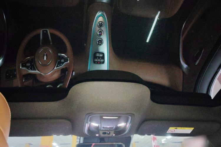 Used ORA Lightning Cat 2022 555 km Luxury Edition Headliner