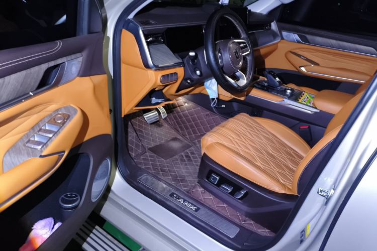 Used Tank 500 2022 3.0T Business Edition "Creation Realm" Design 5-Seater
