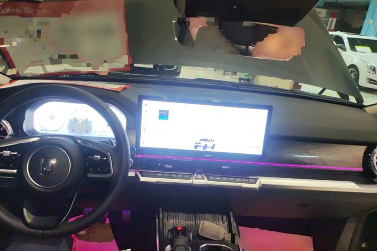 Used Tank 400 2025 2.4T Diesel Version
