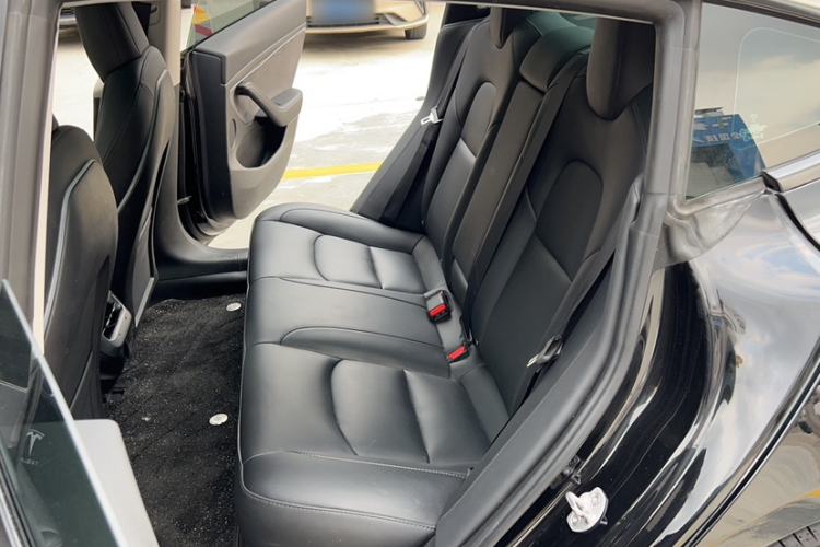 Used Tesla Model 3 2022 Rear-Wheel-Drive Version
