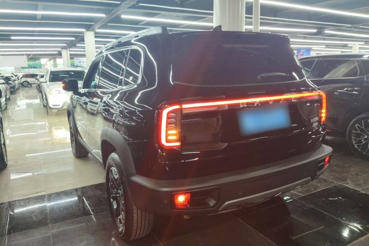 Used Haval DARGO 2024 2.0T DCT Chinese Rural Dog Edition
