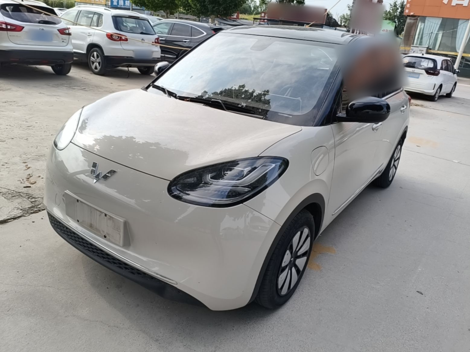 Parte inferior delantera