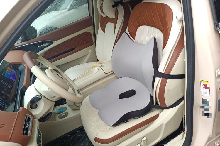 Used ORA Good Cat 2023 401 km Standard Range Premium Version Lithium Iron Phosphate
