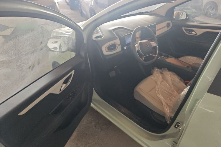 Used SOL E10X 2022 Flower Fairy Design Four-Leaf Clover
