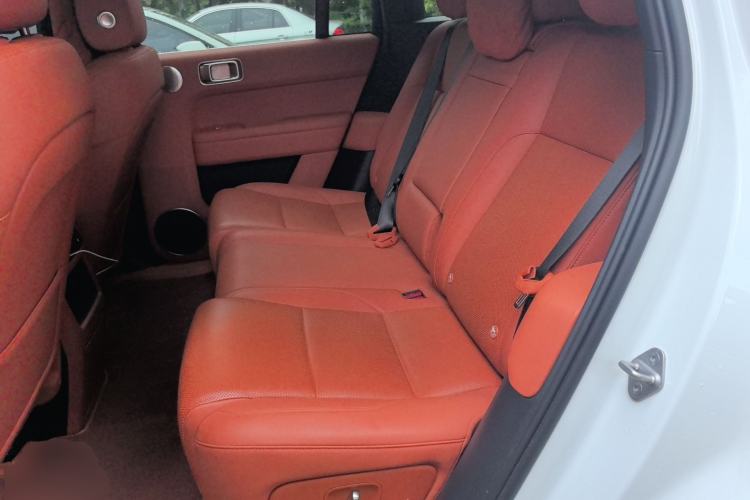 Used Li Auto L6 2024 Pro Model Left Rear Seat
