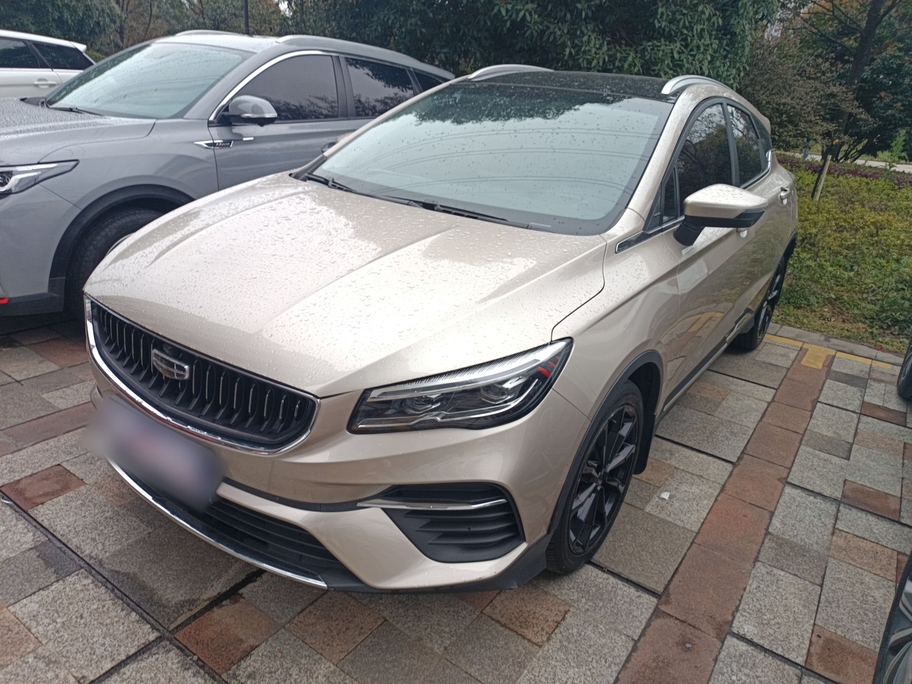 Parte inferior delantera