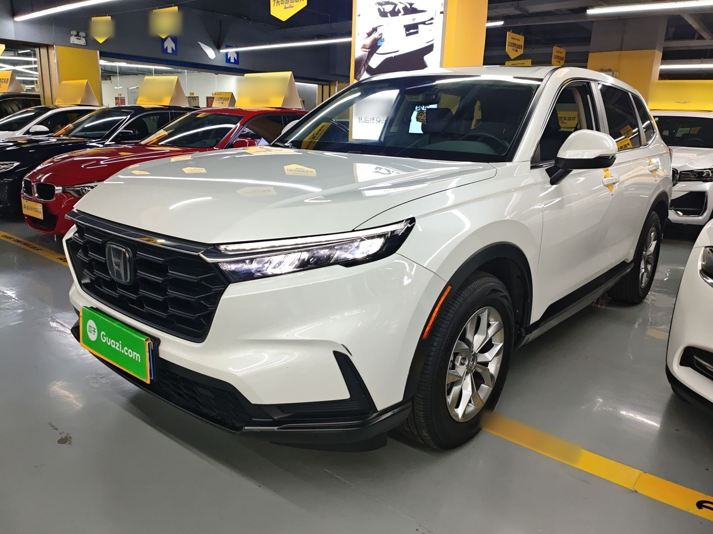 Parte inferior delantera