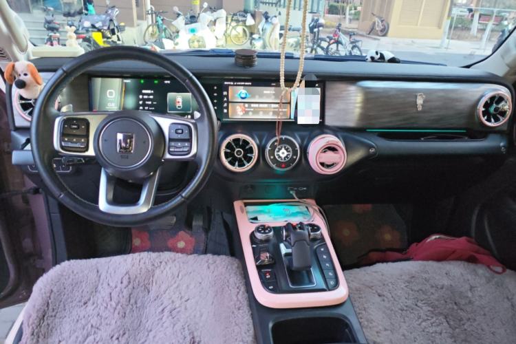 Used Tank 300 2021 City Edition 2.0T—Truly Stylish