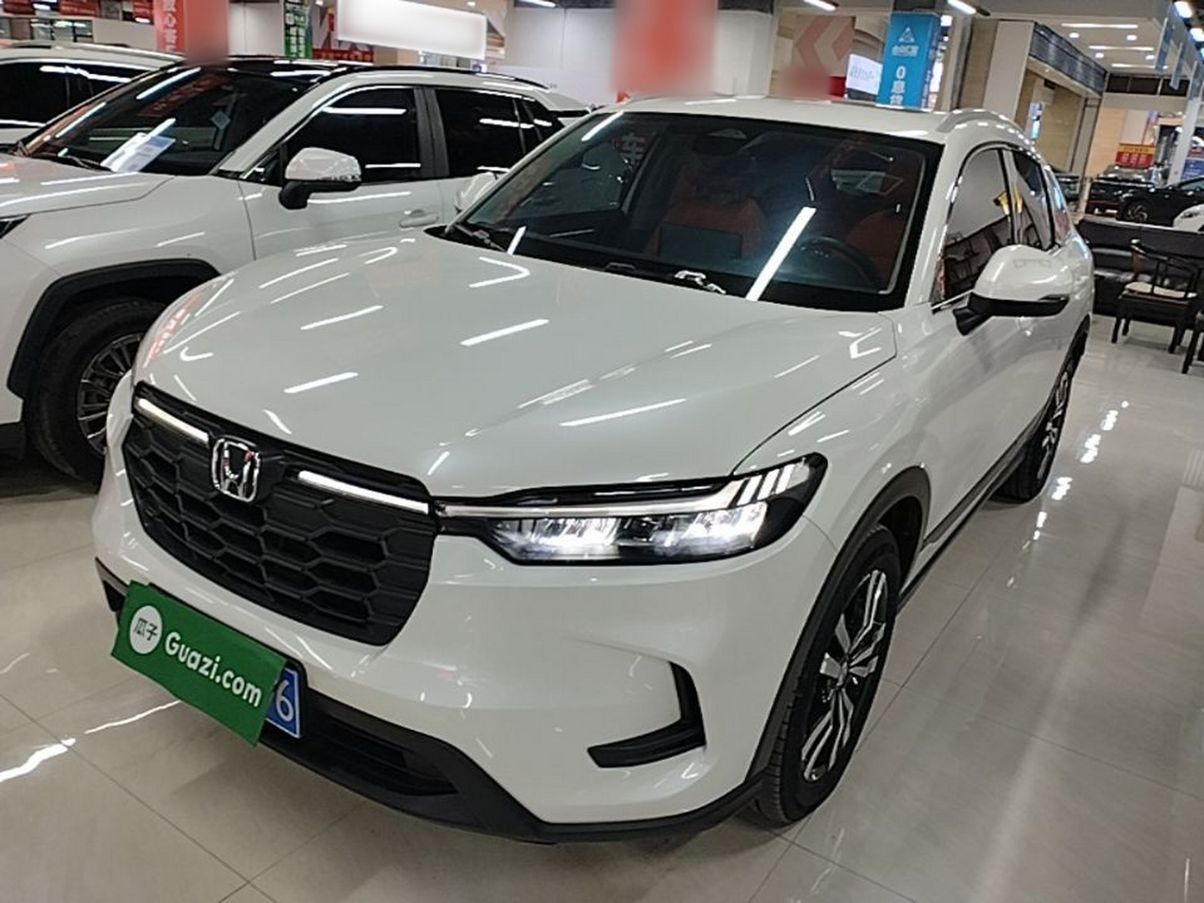 Parte inferior delantera