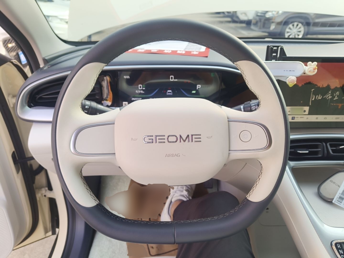 Geely Galaxy Geome 2025 310km Youth Edition — снимка 13