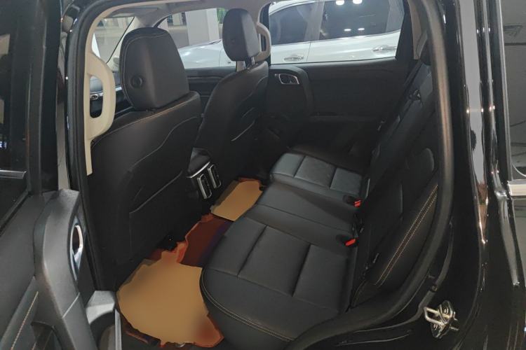 Used Haval DARGO 2024 2.0T DCT Chinese Rural Dog Edition
