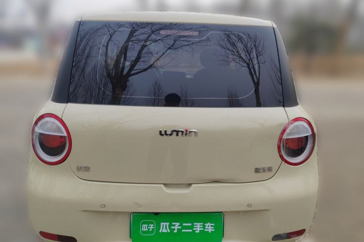 Used Qiyuan Lumin 2023 205km Xiangqin Version
