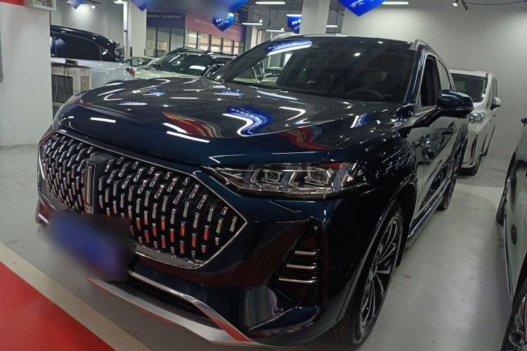 Used Wey Mocha 2021 2.0T Two-Wheel-Drive Premium Edition