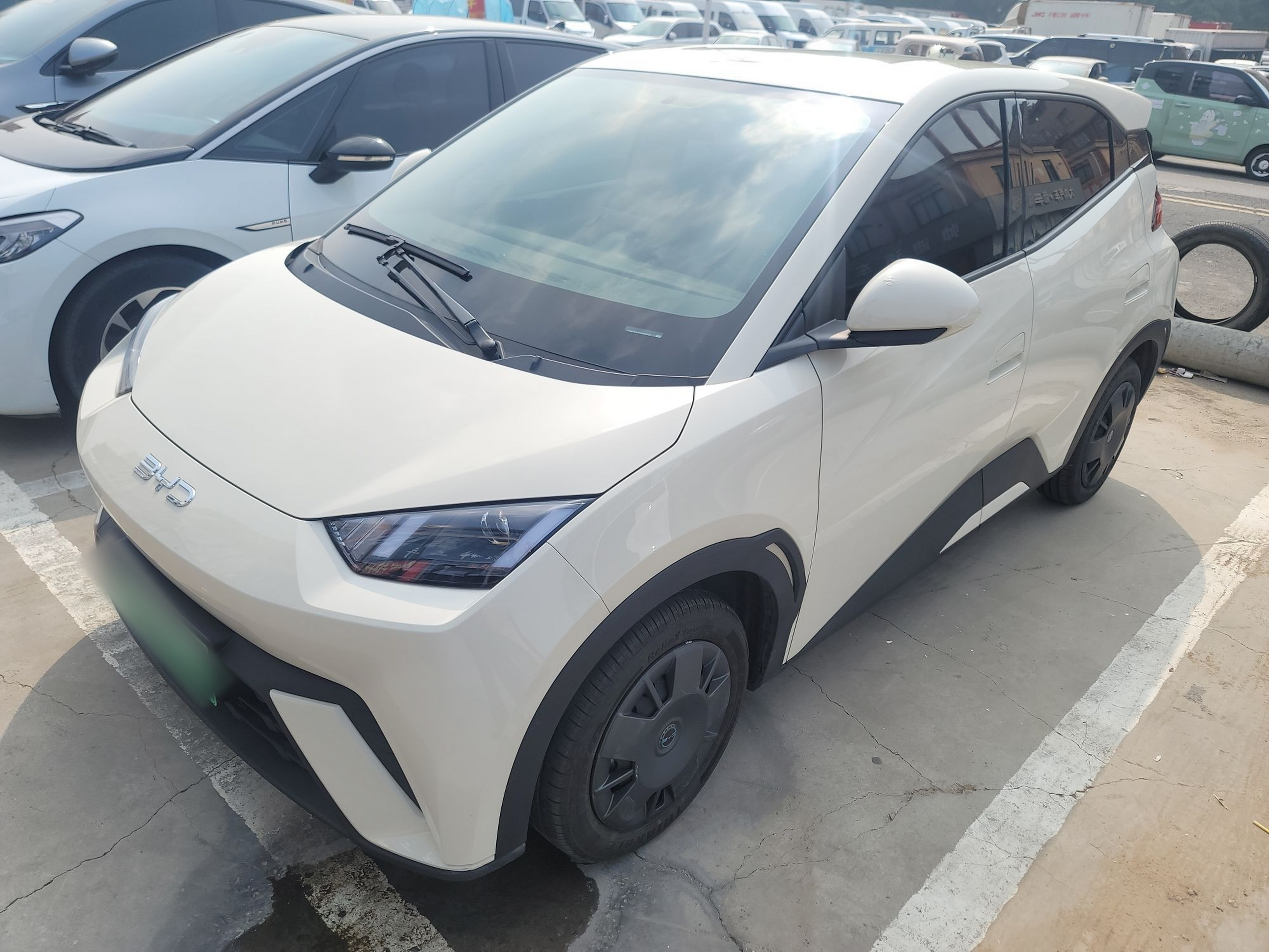 Parte inferior delantera