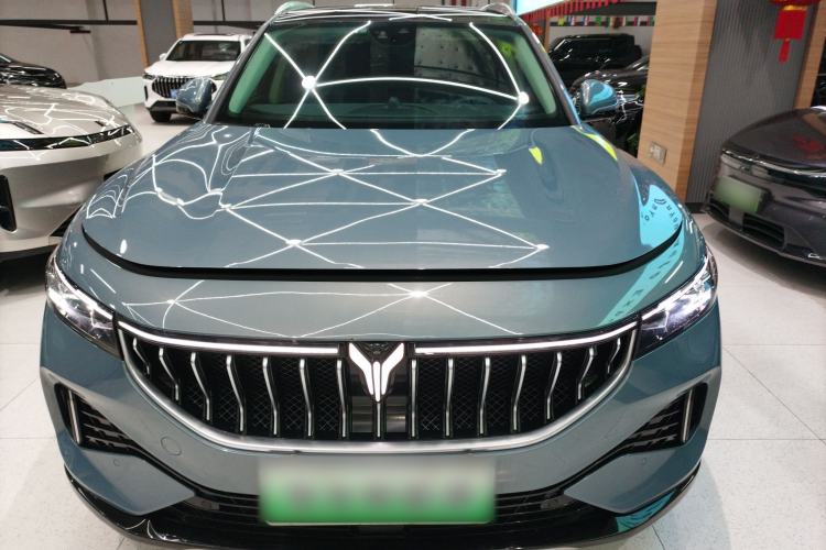 Used VOYAH FREE 2021 Four-Wheel Drive Standard Range-Extended Exclusive Luxury Package