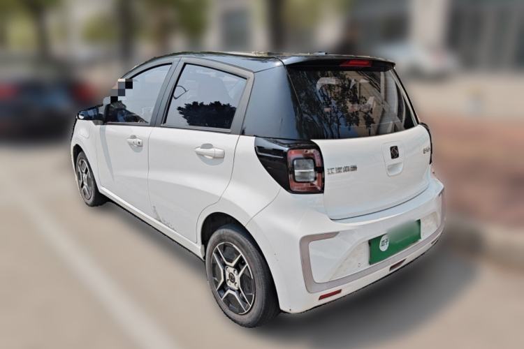 Used SOL E10X 2022 Flower Fairy Design Four-Leaf Clover