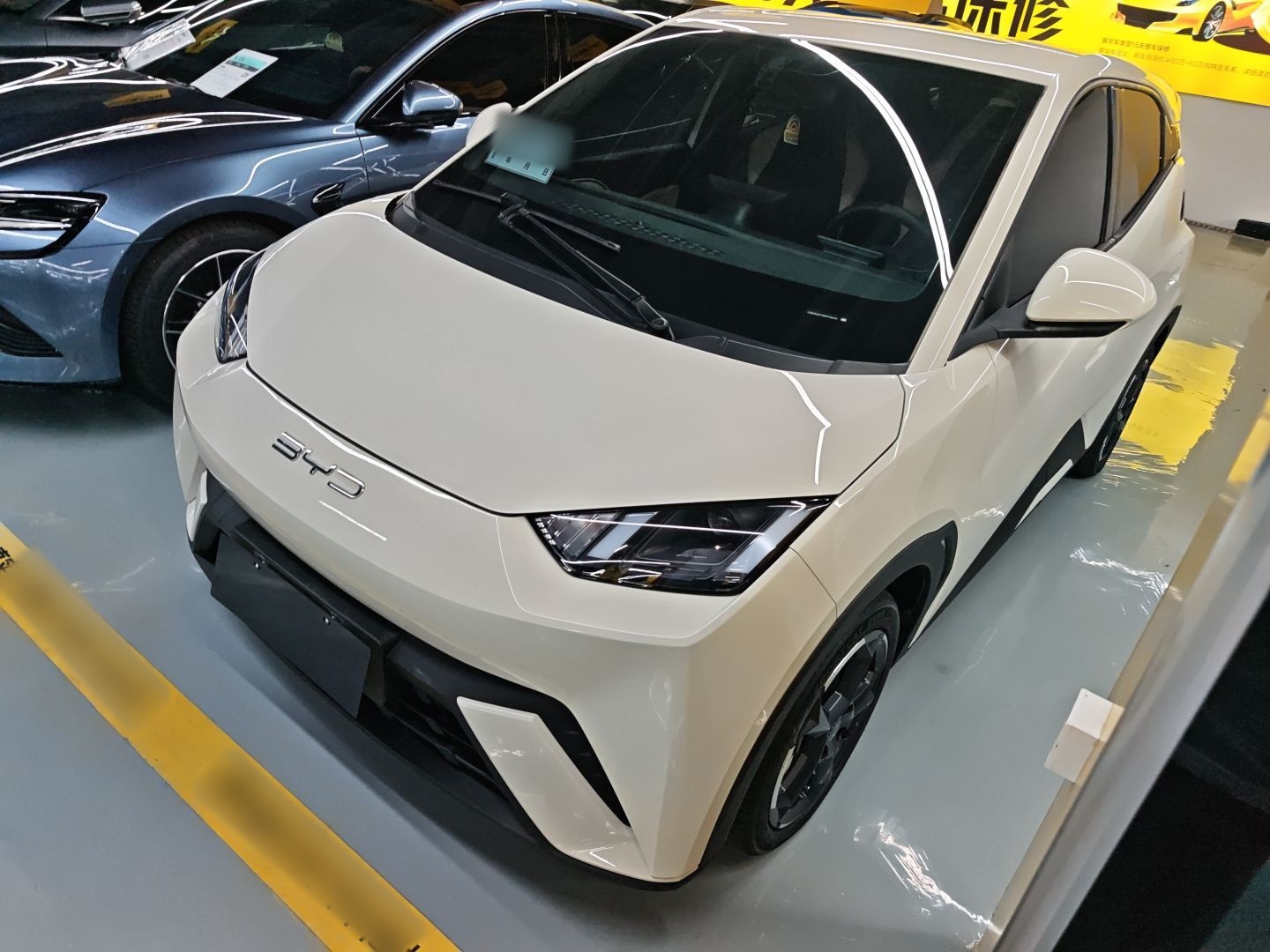 تحت مقدمة السيارة