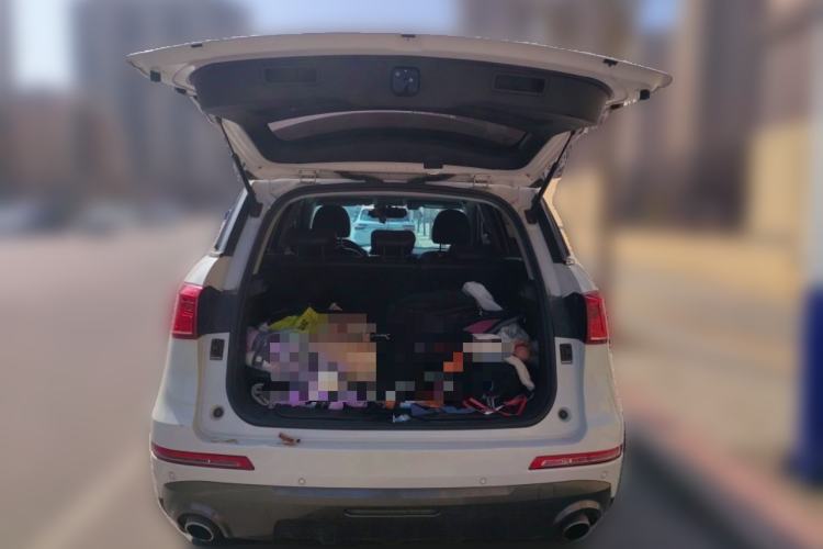 Used Haval H6 Coupe 2018 Blue Label 1.5T Automatic Two-Wheel Drive Ultra-Luxury Model