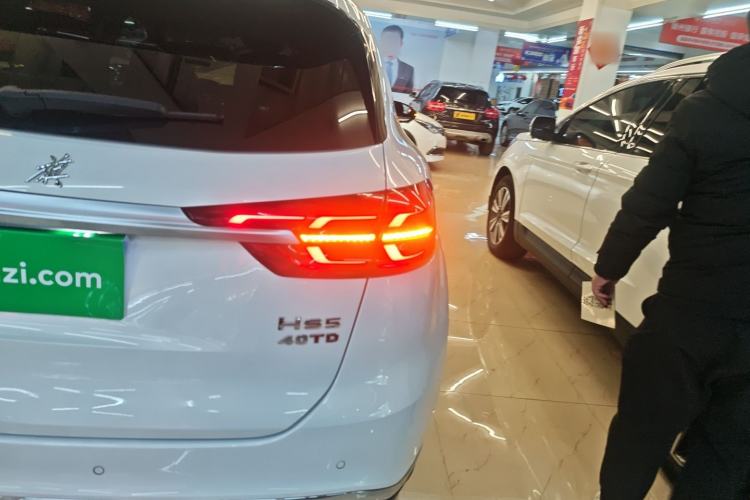 Used Hongqi HS5 2019 2.0T Smart Connect Flagship All-Wheel-Drive Version