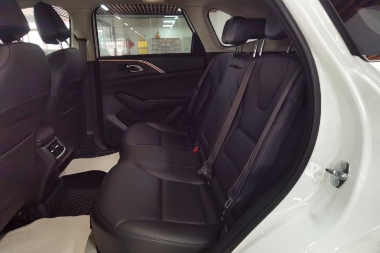 Used Haval Fierce Dragon Max 2023 1.5L Hi4 105 Four-Wheel Drive Navigation Edition Left Rear Seat