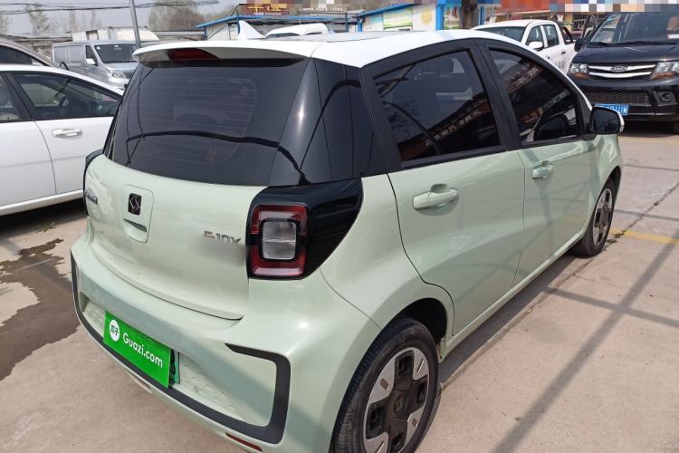 Used SOL E10X 2022 Flower Fairy Design Four-Leaf Clover