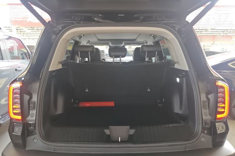 Used Haval DARGO 2024 2.0T DCT Chinese Rural Dog Edition
