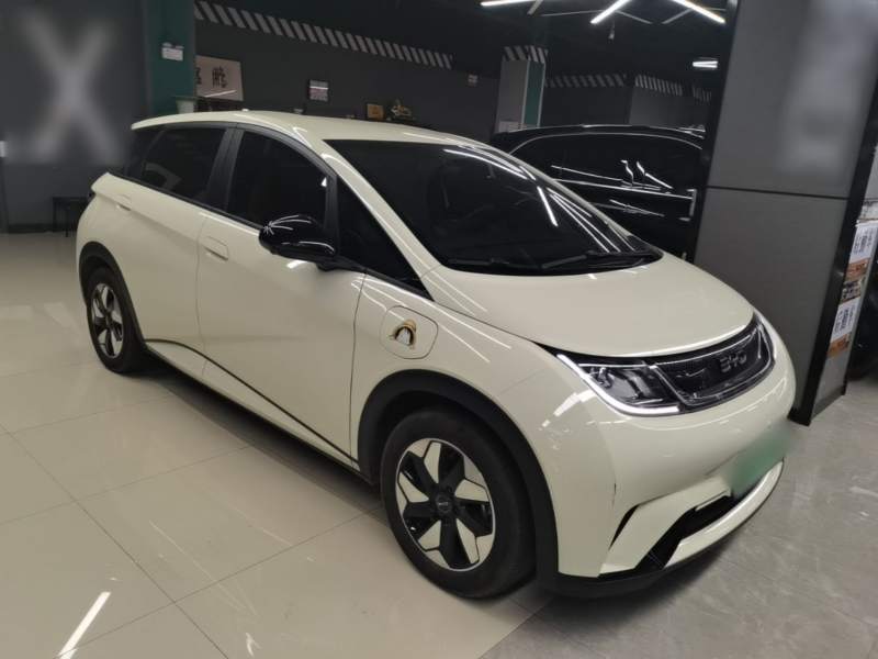 Used BYD Dolphin 2025 420km Free Edition — 3