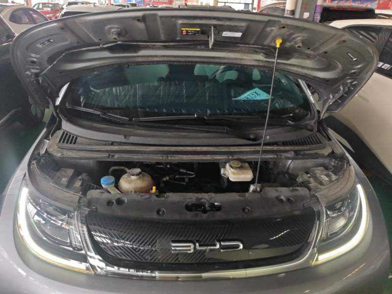 Used BYD Dolphin 2021 405 km Fashion Edition — 19