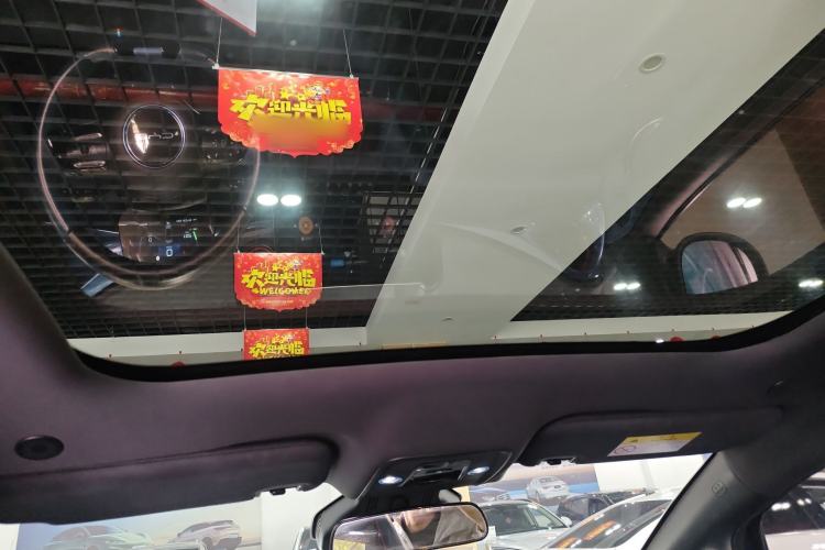 Used BYD Dolphin 2021 401km Knight Edition Headliner