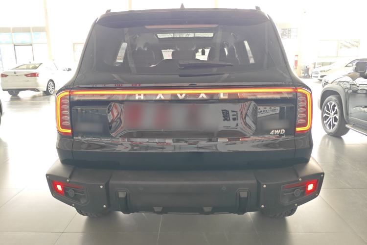 Used Haval DARGO 2024 2.0T DCT Chinese Rural Dog Edition
