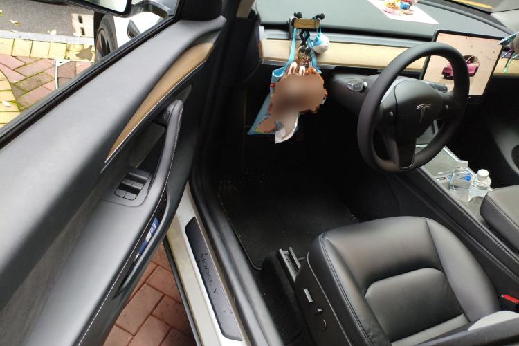 Used Tesla Model Y 2022 Long-Range All-Wheel-Drive Version