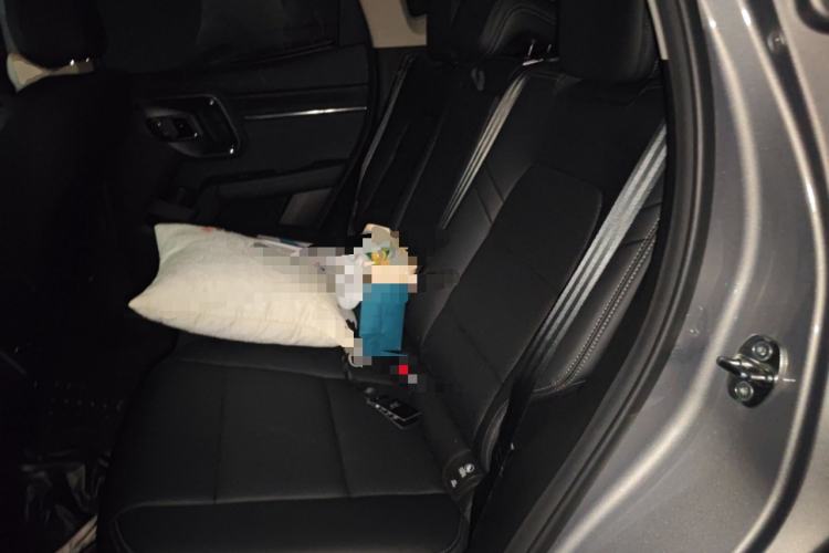 Used Haval H Dog New Energy 2024 Hi4 102km Trend Electric Version Plus Left Rear Seat