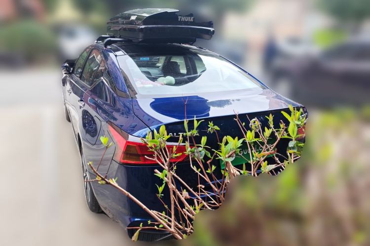 Used Nissan Teana 2020 2.0T XL Upper AD1 Smart Navigation Edition Rear