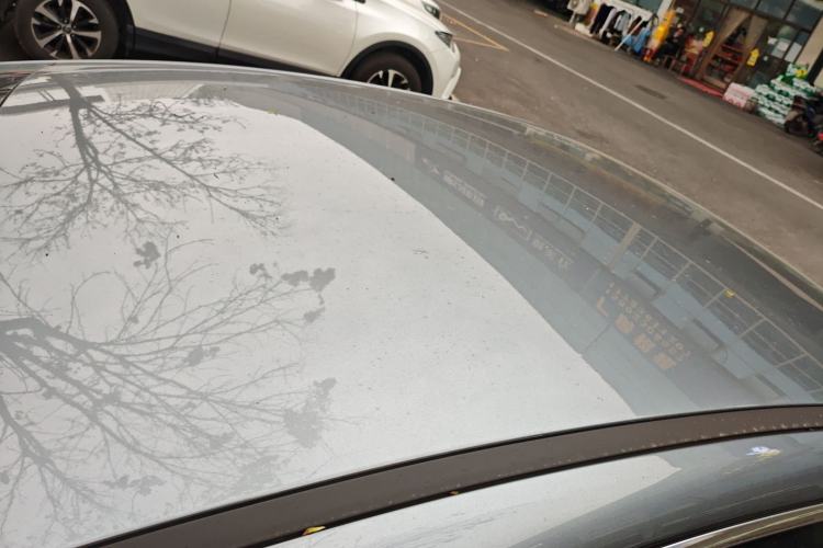 Used BYD Destroyer 05 2023 Champion Edition DM-i 55KM Luxury Model
