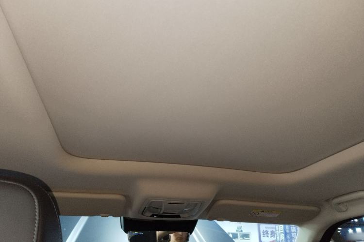 Used Haval Raptor New Energy 2024 Hi4 145 Pro Headliner