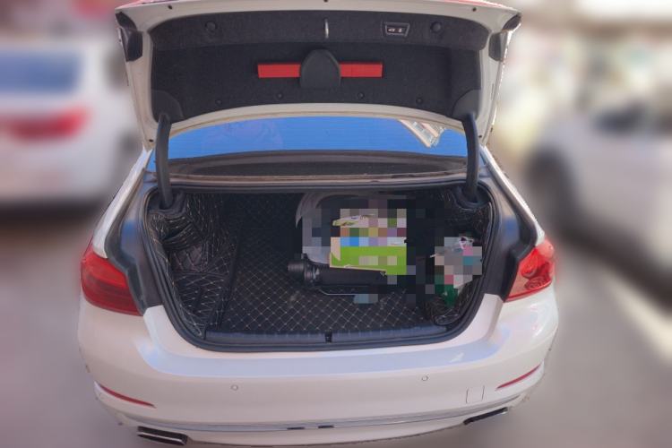 Used BMW 5 Series 2018 530Li xDrive Luxury Package
