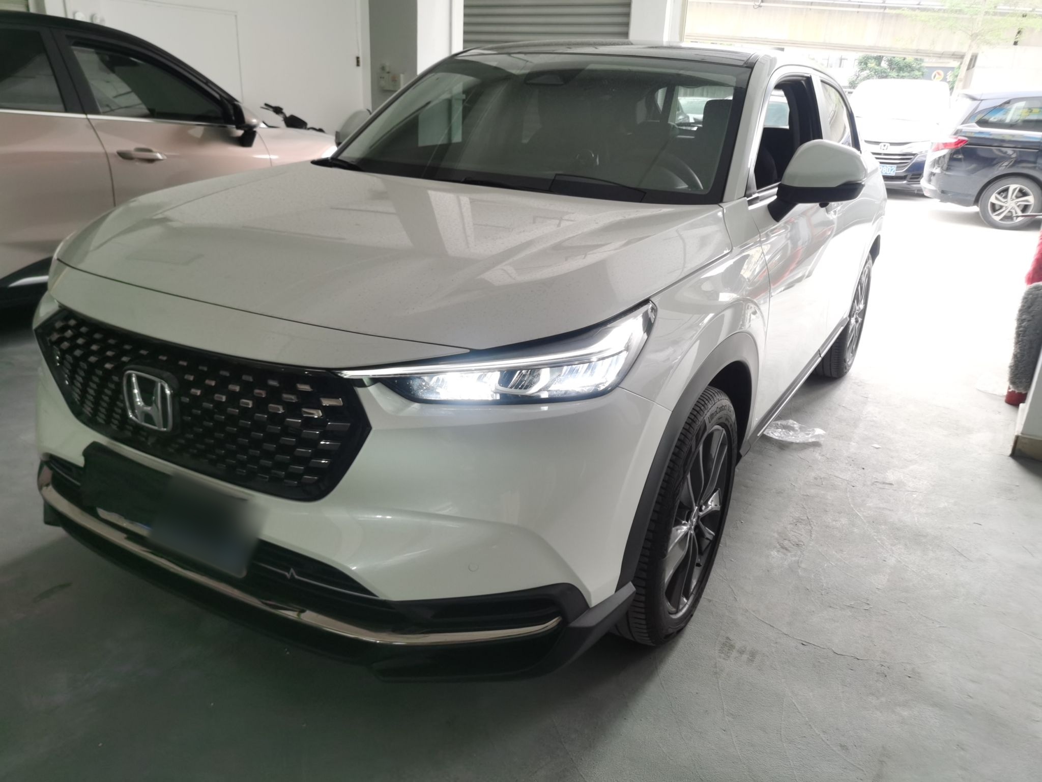 Parte inferior delantera