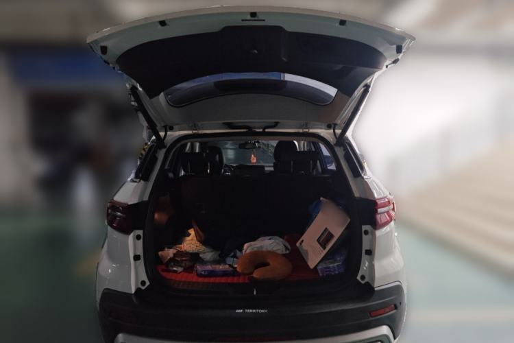 Used Ford Territory 2020 Lingjie S EcoBoost 145 CVT Platinum Edition
