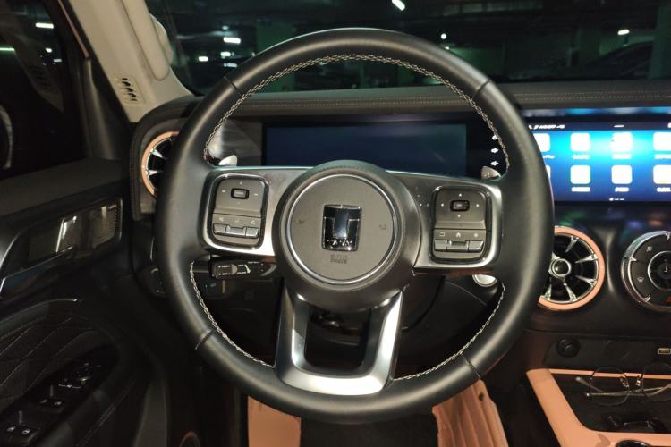 Used Tank 300 2021 City Edition 2.0T—Truly Stylish