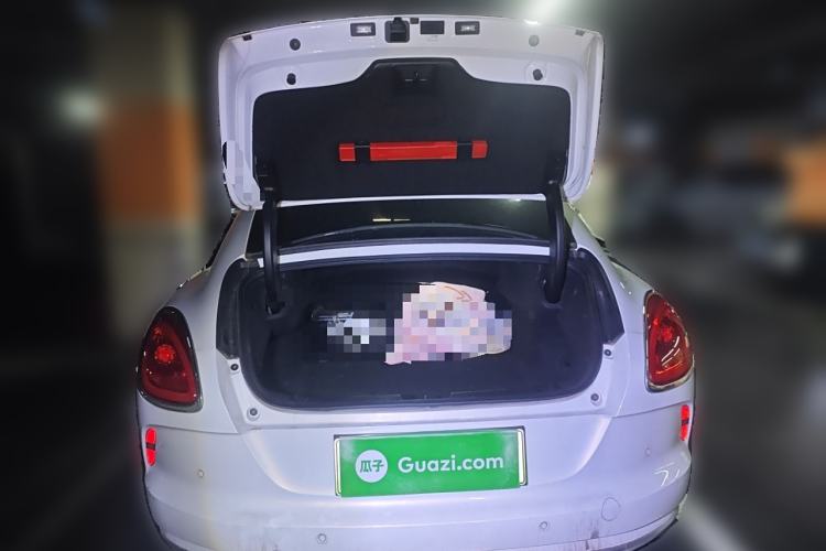 Used ORA Lightning Cat 2022 555 km Luxury Edition
