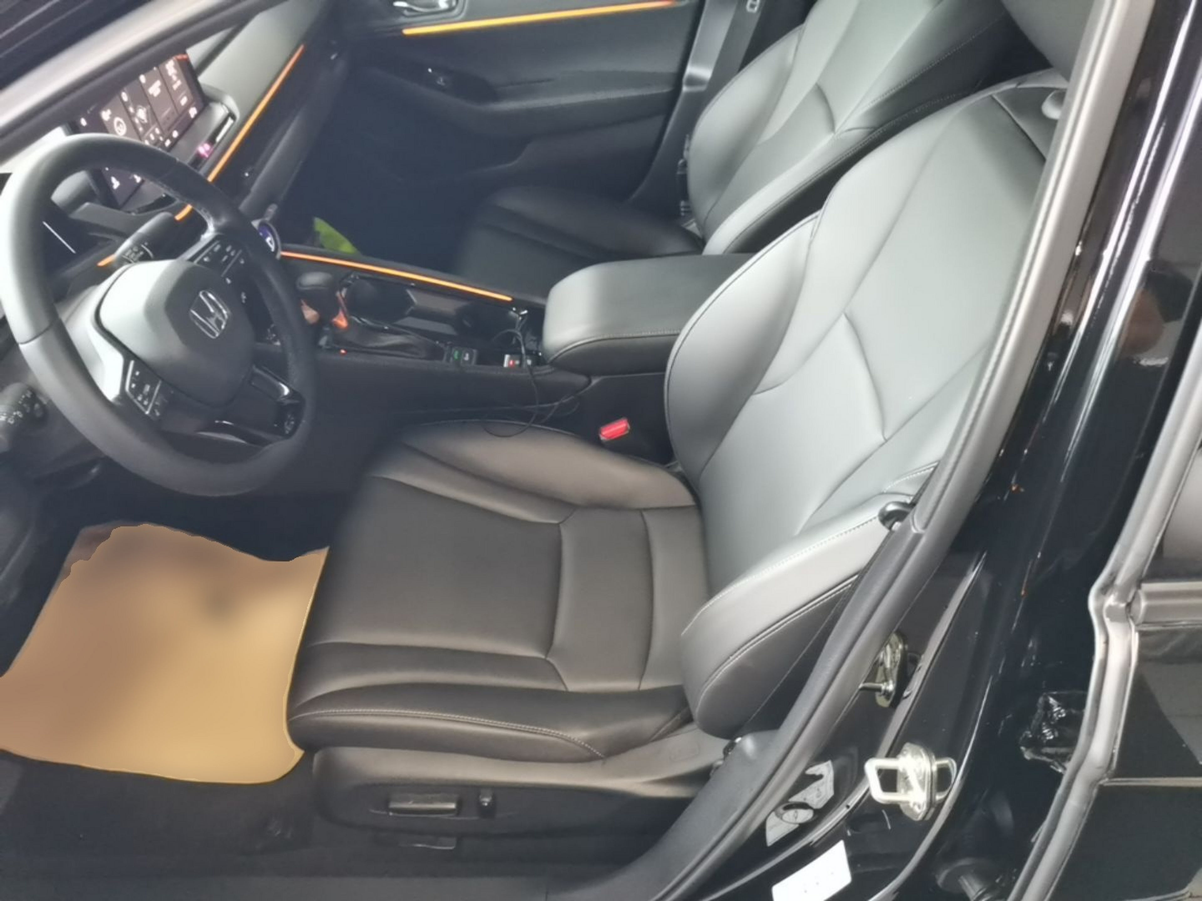 Interior delantero