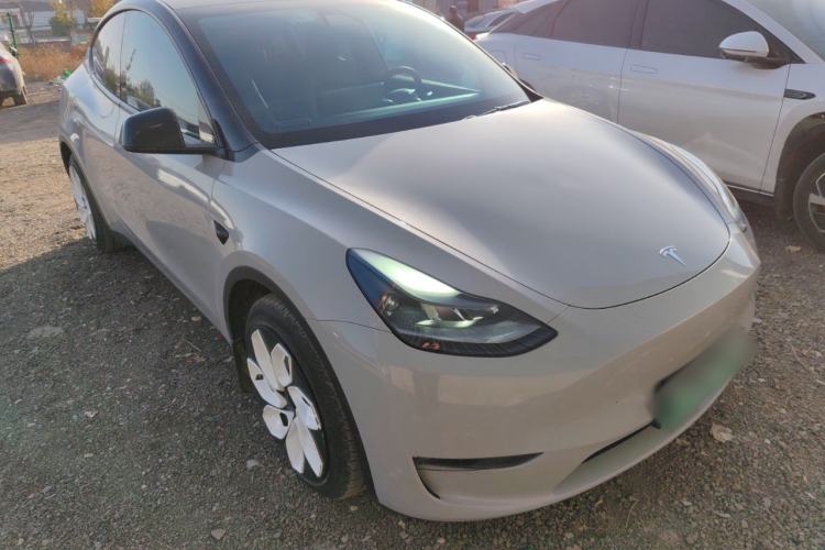 Used Tesla Model Y 2021 Standard Range Rear-Wheel Drive Version
