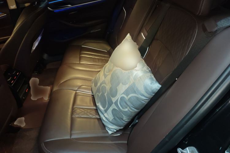 Used BMW 5 Series New Energy 2020 530Le Luxury Package